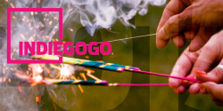 Indiegogo record 2015