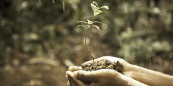 Banca Etica bando per cofinaziare reward crowdfunding su Produzioni dal Basso