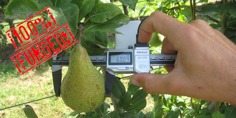 Perfrutto record overfunding equity crowdfunding su Mamacrowd