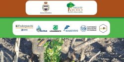 10mila alberi Pantelleria crowdfunding