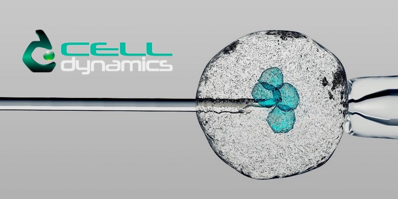 Celldynamics raccoglie 200k in poche ore equuity crowdfunding backtowork24