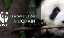WWF partnership con aidCoin