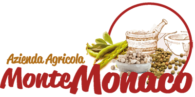 Montemonaco