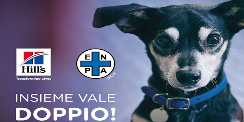 insieme vale doppio-3