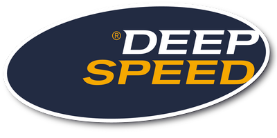 DeepSpeed 2