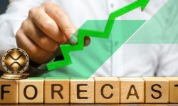 Asset digitali analisi 2020 e previsioni 2021