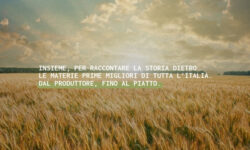 Fedro lancia round equity crowdfunding su Mamacrowd