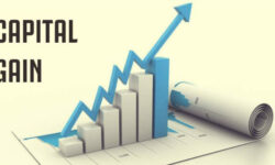Capital gain equity crowdfunding si verifica nel lungo termine