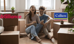 Colliers e Walliance siglano partnership