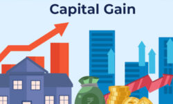 Equity crowdfunding capital gain
